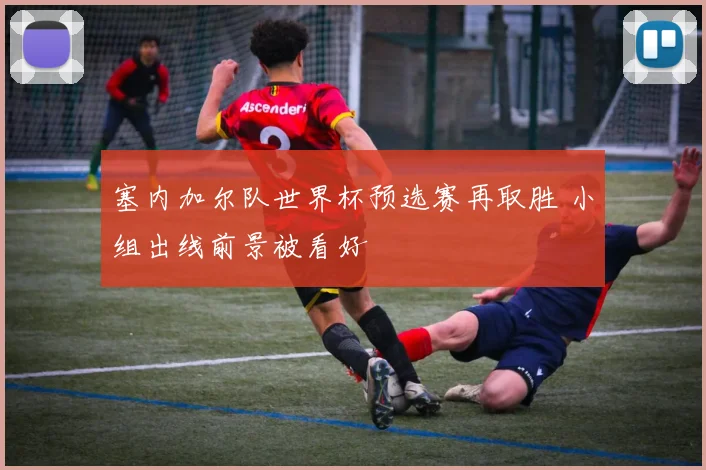 塞内加尔队世界杯预选赛再取胜 小组出线前景被看好