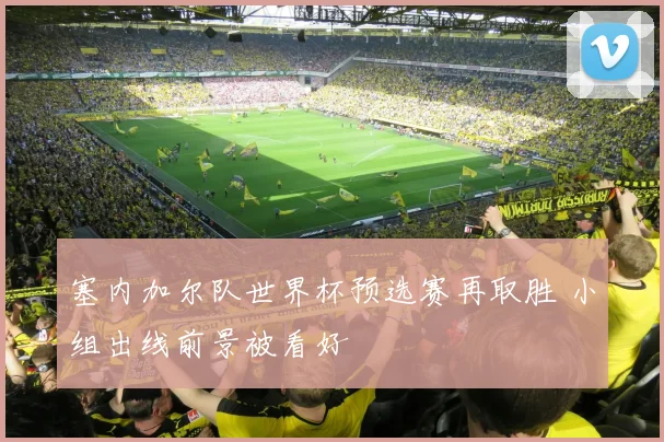 塞内加尔队世界杯预选赛再取胜 小组出线前景被看好