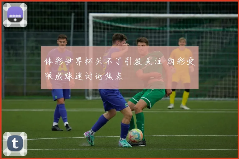 体彩世界杯买不了引发关注 购彩受限成球迷讨论焦点