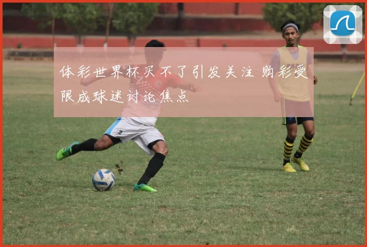 体彩世界杯买不了引发关注 购彩受限成球迷讨论焦点