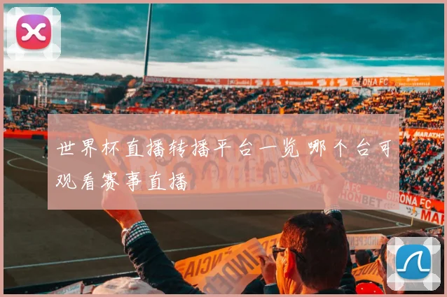 世界杯直播转播平台一览 哪个台可观看赛事直播